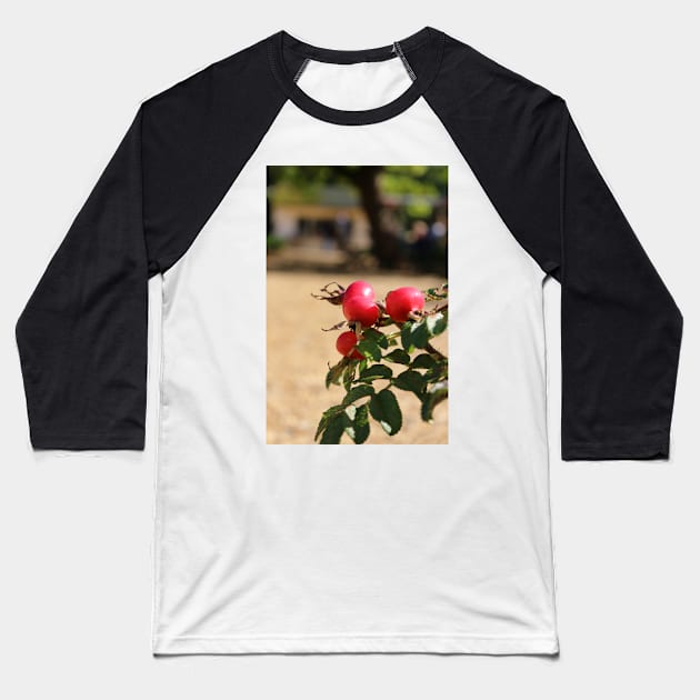 Rose hips Baseball T-Shirt by pinkal